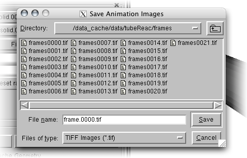 Paraview Save Animation Frames
